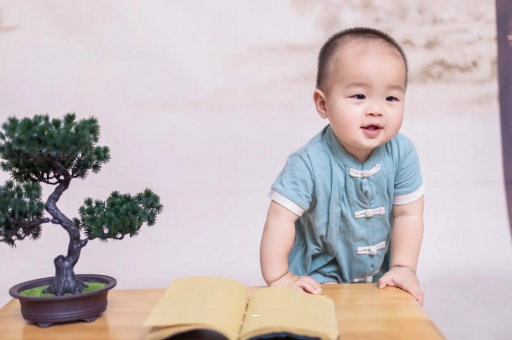 曹县可爱的企鹅宝宝
